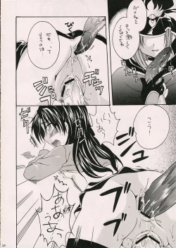 Page 19 of Silhouette X