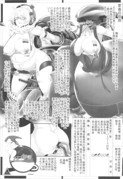 Page 13 of Higaimouzou