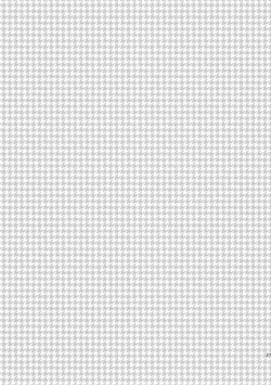 Page 28 of Shushutto Anniversary