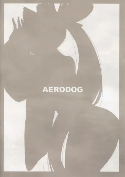 Page 25 of Aiken Ushiwakamaru