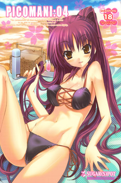 Download PICOMANI:04