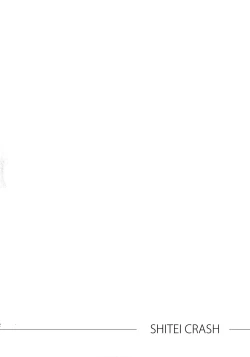 Page 3 of Shitei Crash