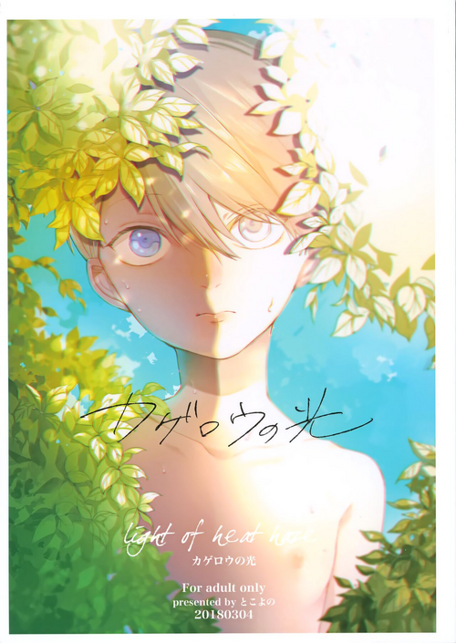 Download Kagerou no Hikari - light of heat haze