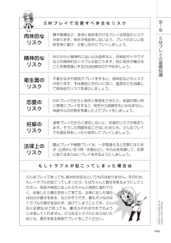 Page 29 of いますぐデキる 図説SMプレイマニュアル
