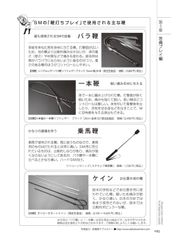 Page 95 of いますぐデキる 図説SMプレイマニュアル