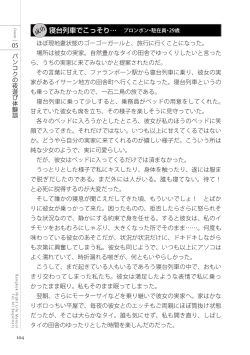 Page 104 of いかなくても解る図説風俗マニュアル・海外編 はじめての男子旅行