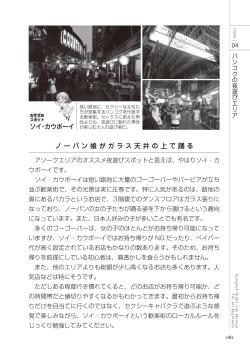 Page 81 of いかなくても解る図説風俗マニュアル・海外編 はじめての男子旅行