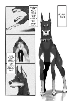 Page 1 of Laura and Yui