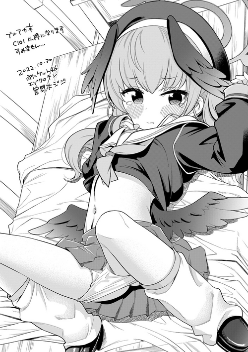 Download various flyers