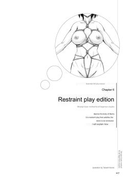 Page 105 of SM play manual