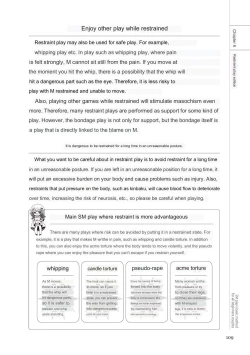 Page 107 of SM play manual