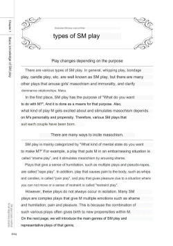 Page 12 of SM play manual