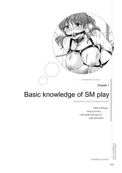 Page 5 of SM play manual