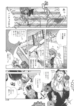 Page 113 of Kirakira to Kagayaku Mono