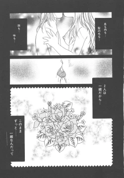 Page 45 of Kirakira to Kagayaku Mono