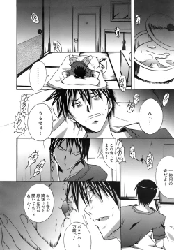 Page 291 of COMIC MEGAPLUS 2007-11 Vol. 49