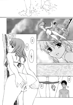 Page 339 of COMIC MEGAPLUS 2007-11 Vol. 49