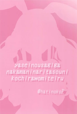 Page 20 of Yasei no Usagi ga Nakama ni Naritasou ni Kochira wo Miteiru