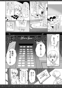 Page 24 of Tenjousekai no Maid-tachi 2
