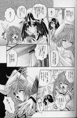 Page 31 of Ragdoll 8