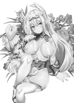 Page 29 of Sukebe Elf Tanbouki Soushuuhen