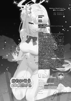 Page 19 of Malleus Maleficarum