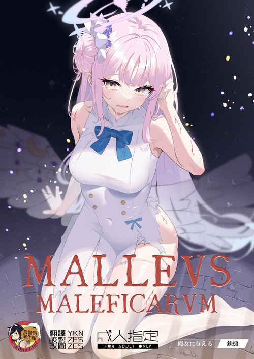 Download Malleus Maleficarum