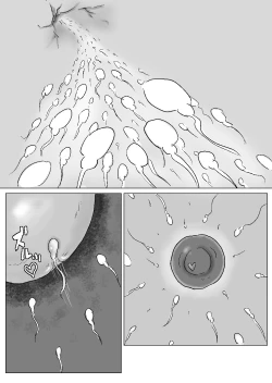 Page 30 of Kurokami Long ga Niau Hitozuma ga Charai Moto Kare ni Netorareta Hanashi