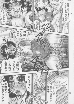 Page 15 of Ninpu no Hon