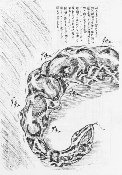 Page 13 of Vivian Bessatsu Soushuuhen 02 Dizzy