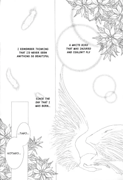 Page 136 of Mimi to Shippo to Mahoutsukai