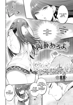 Page 2 of Euphoria Aroma