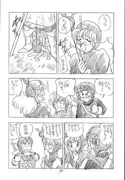 Page 29 of CUSTOMCHIP