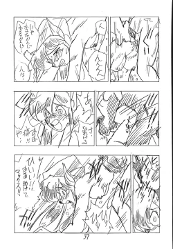 Page 36 of CUSTOMCHIP