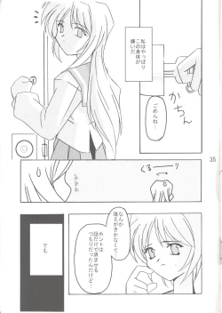 Page 36 of Lunasol Festa