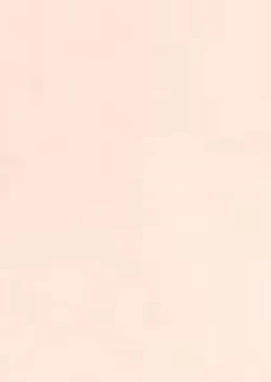 Page 3 of Lunasol Festa