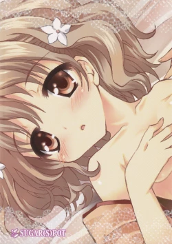 Page 26 of PICOMANI:09