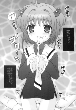 Page 13 of Punipoyon  summary version