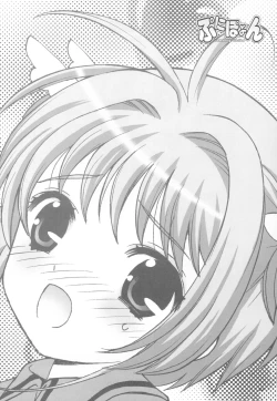 Page 21 of Punipoyon  summary version