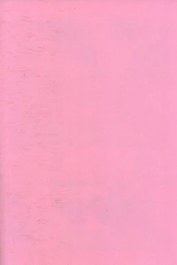 Page 2 of Immoralist丨背德者