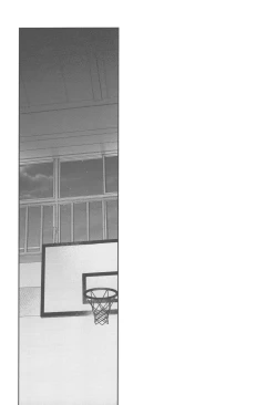 Page 8 of doshiroto communication