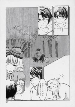 Page 28 of Astrantia