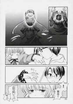 Page 29 of Astrantia