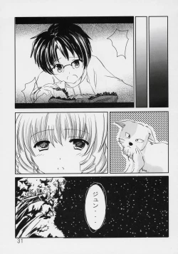 Page 30 of Astrantia