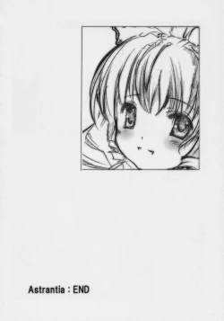 Page 31 of Astrantia