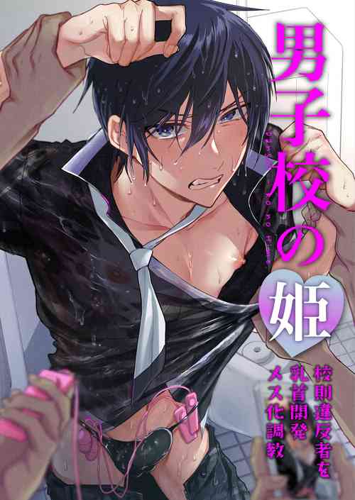 Download Danshikou no Hime Kousoku Ihansha o Chikubi Kaihatsu Mesu-ka Choukyou