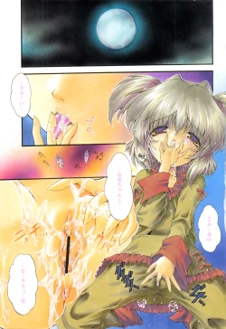 Page 5 of Comic Papipo 2007-12