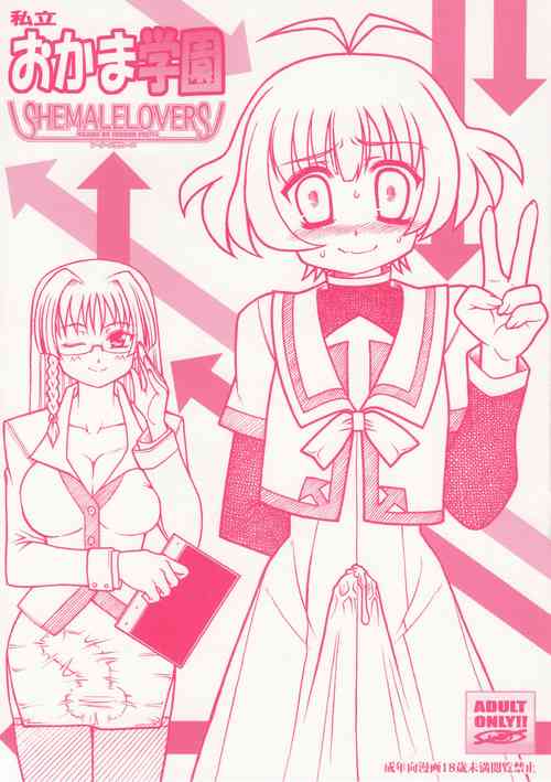 Download SHEMALELOVERS Vol.14