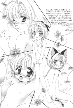 Page 29 of LOVELY CHERRY