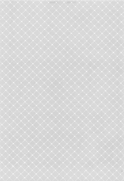 Page 14 of Seinaru Yoru  to Omocha Asobi